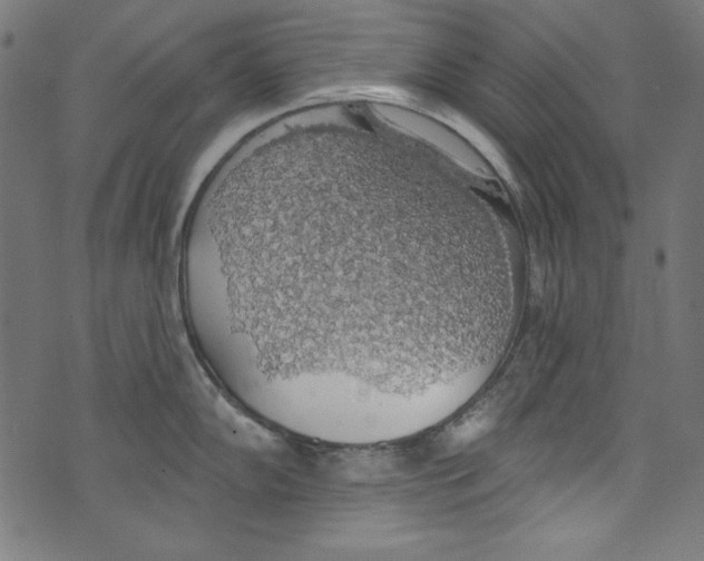 X0000072971102200608211315