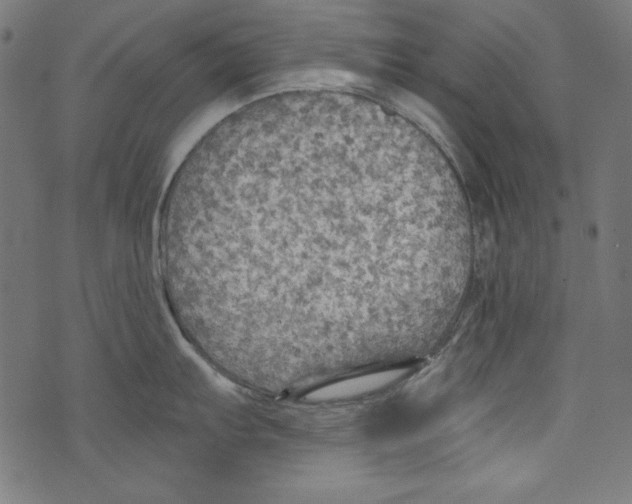 X0000072971103200608211315