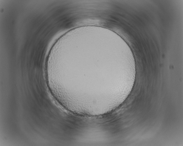 X0000072971104200608211315