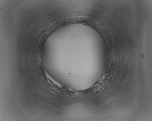 X0000072971109200608211315