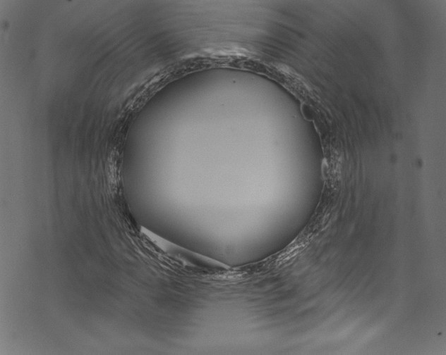 X0000072971110200608211315