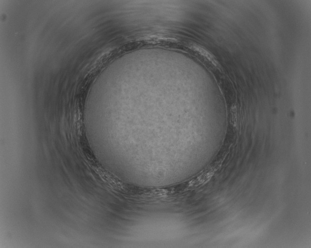 X0000072971111200608211315