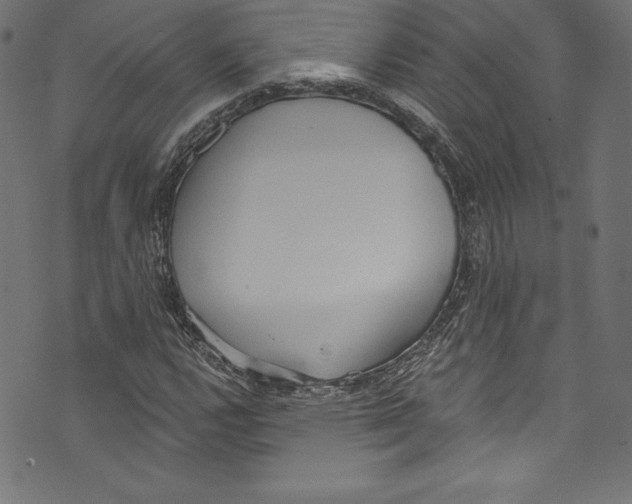 X0000072971112200608211315