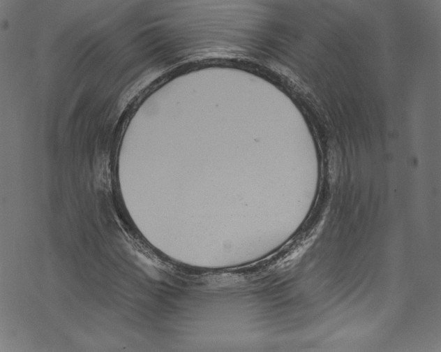 X0000072971113200608211315