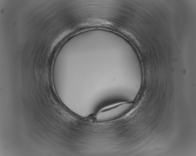 X0000072971114200608211315