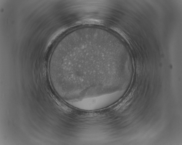 X0000072971115200608211315