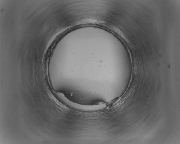 X0000072971116200608211315