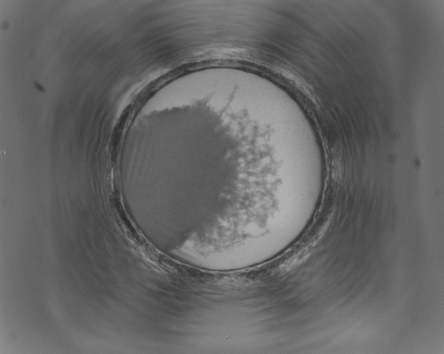 X0000072971117200608211315