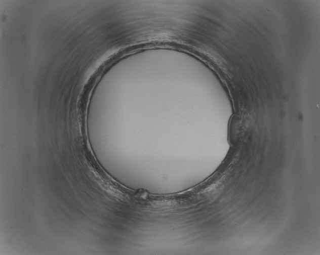 X0000072971118200608211315