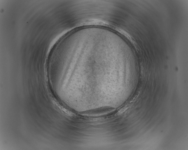 X0000072971120200608211315