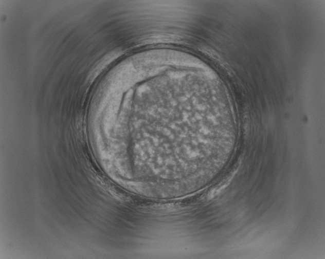 X0000072971121200608211315