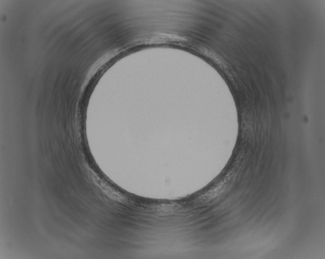 X0000072971122200608211315