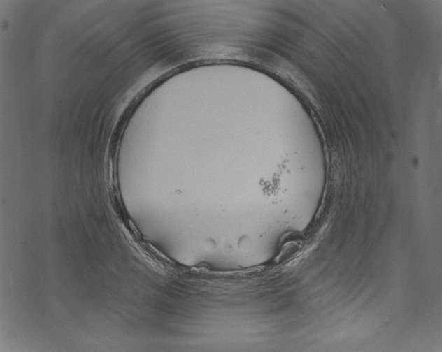 X0000072971125200608211315