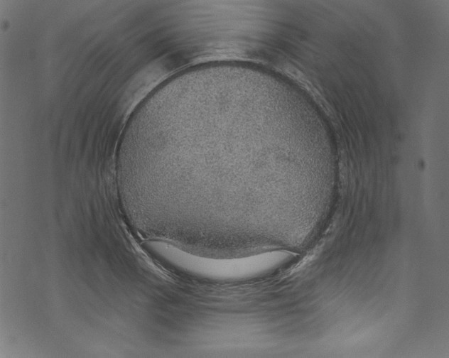 X0000072971129200608211315