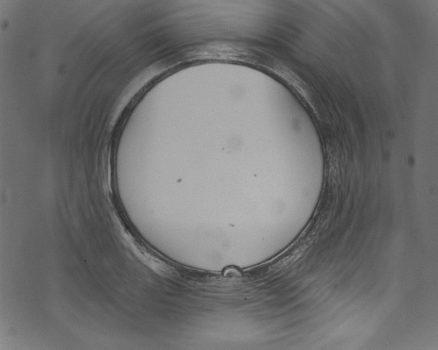 X0000072971131200608211315