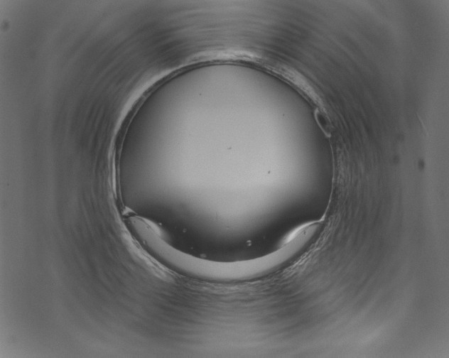 X0000072971132200608211315