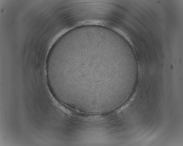 X0000072971133200608211315