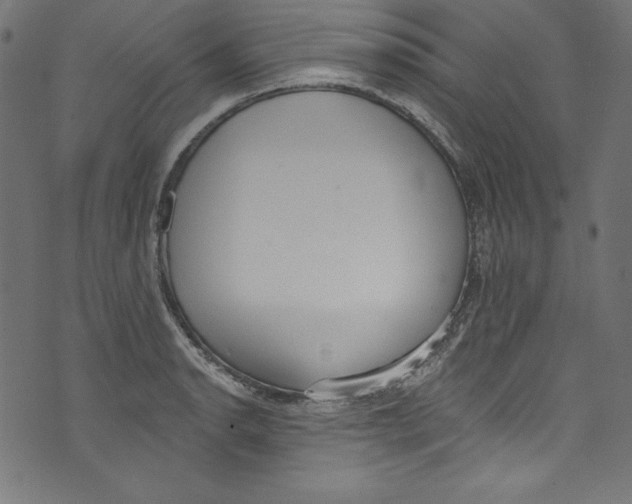 X0000072971134200608211315