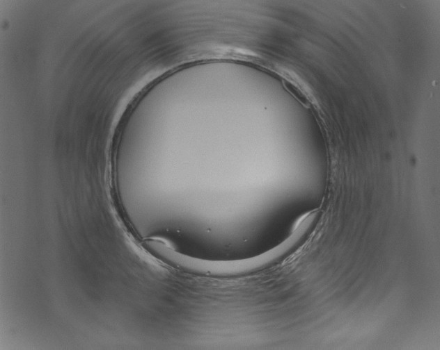 X0000072971136200608211315