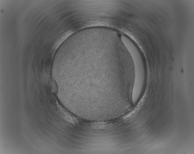 X0000072971137200608211315