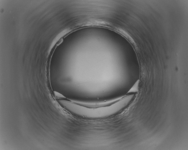 X0000072971138200608211315