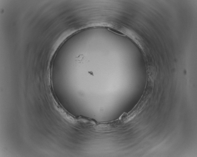 X0000072971140200608211315