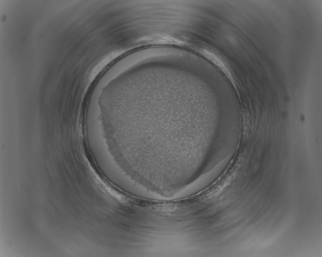 X0000072971141200608211315