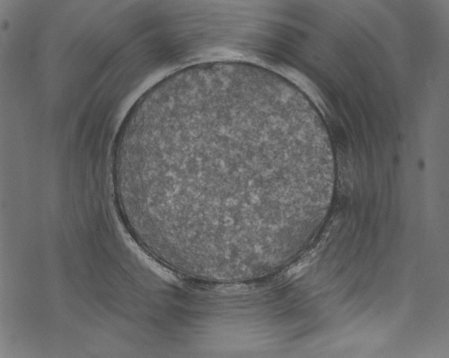 X0000072971142200608211315