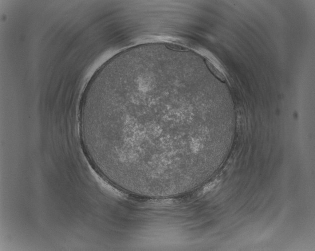 X0000072971143200608211315