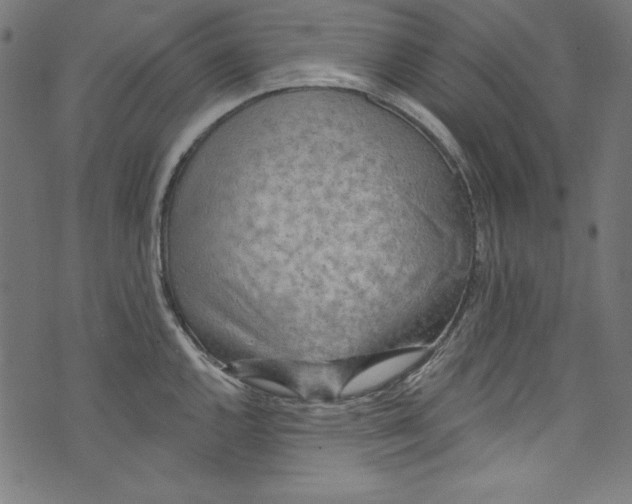 X0000072971144200608211315