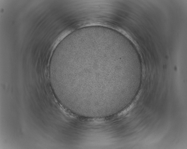 X0000072971145200608211315