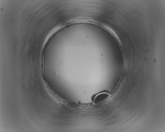 X0000072971146200608211315