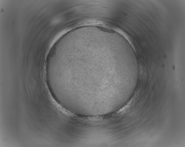 X0000072971147200608211315