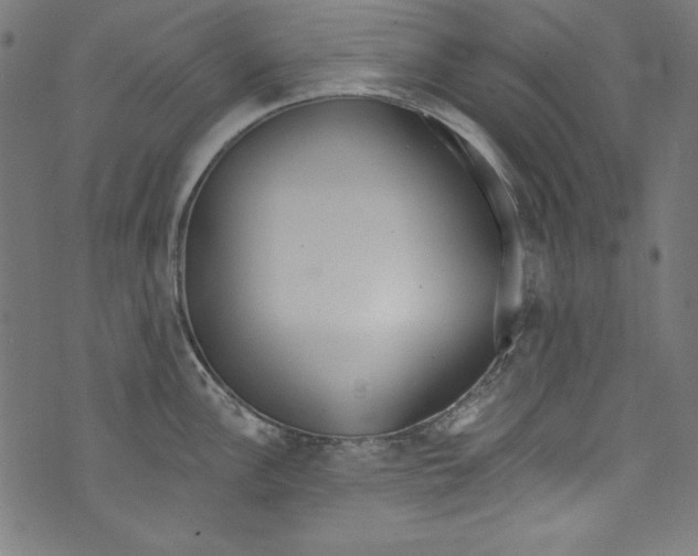 X0000072971148200608211315