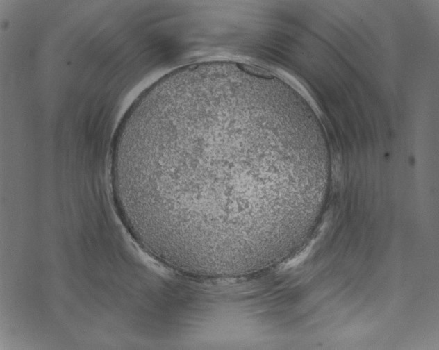 X0000072971149200608211315