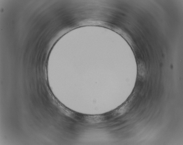 X0000072971150200608211315