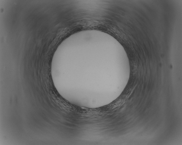 X0000072971153200608211315