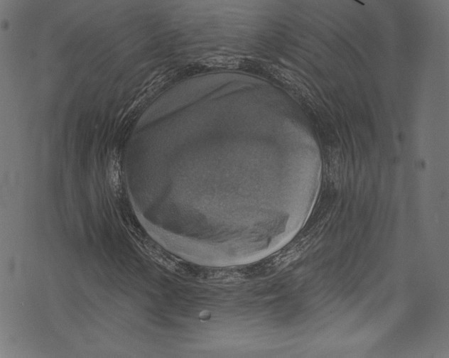 X0000072971154200608211315