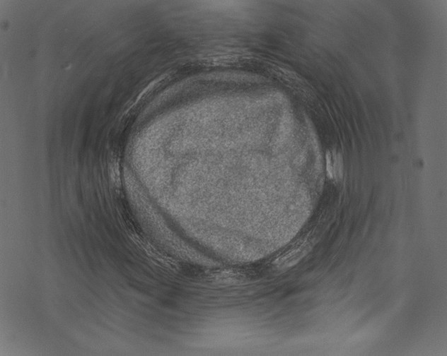 X0000072971155200608211315