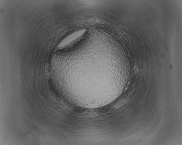 X0000072971156200608211315