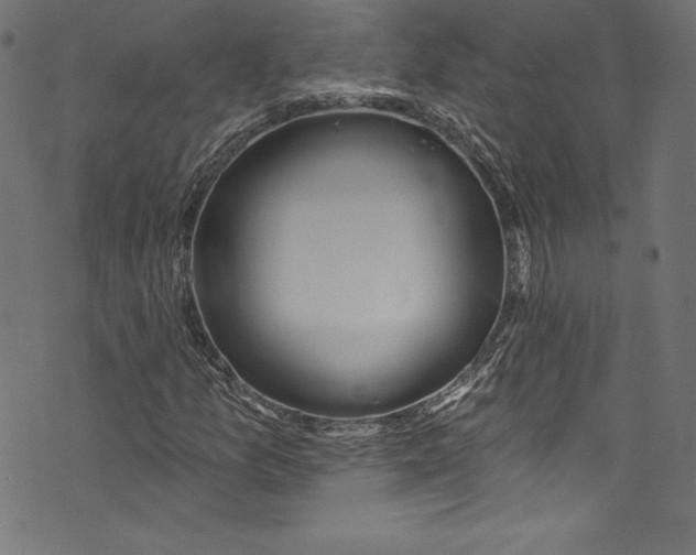 X0000072971157200608211315