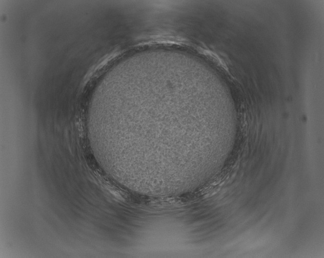 X0000072971159200608211314