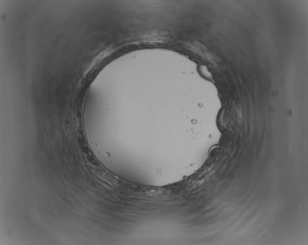 X0000072971160200608211314