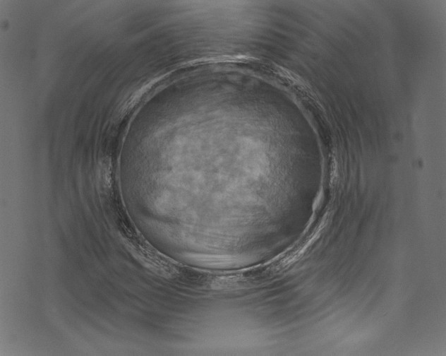 X0000072971161200608211314