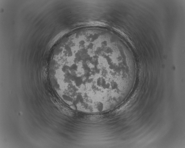 X0000072971163200608211314