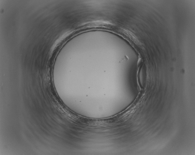 X0000072971164200608211314