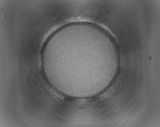 X0000072971167200608211314