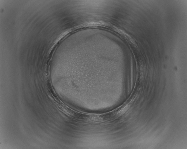 X0000072971170200608211314