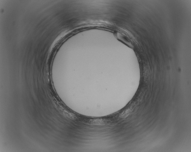 X0000072971172200608211314