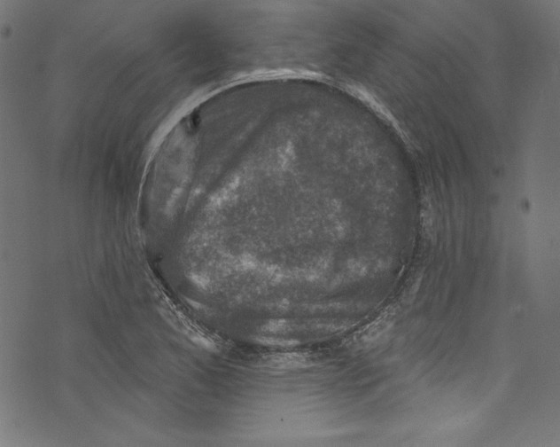 X0000072971173200608211314